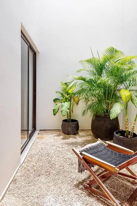 图卢姆Exclusivo Penthouse Con Alberca Privada Y Roof公寓 图卢姆