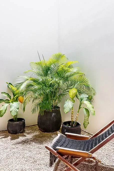 图卢姆Exclusivo Penthouse Con Alberca Privada Y Roof公寓 公寓 图卢姆